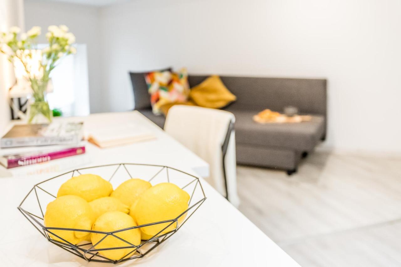 Apartment Wool Lodz (Lodz)